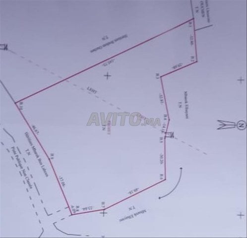 Terrain de 1 hectare à Eddir, Agadir – 600 000 DH